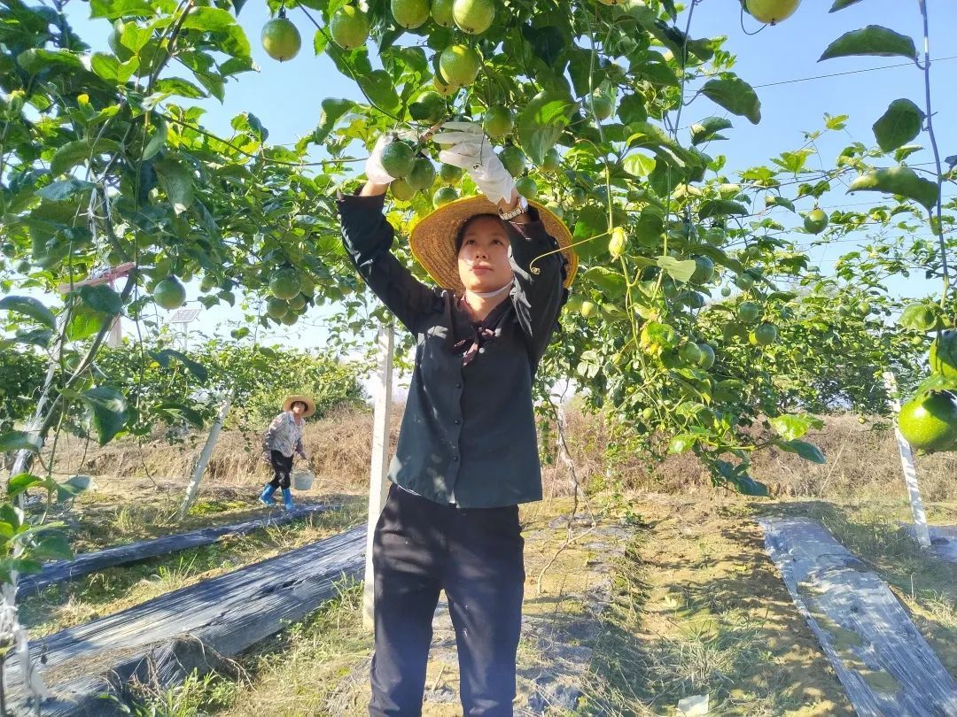 @汕尾姐妹，妇女创业小额贷款助你圆创业梦想！，汕尾哪里有私人借贷，汕尾借钱